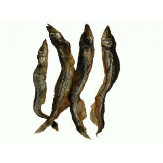 Fisch