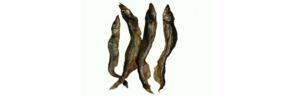 Fisch