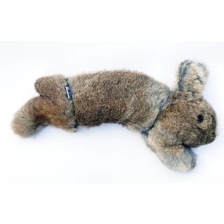 BG Rabbit  Dummy