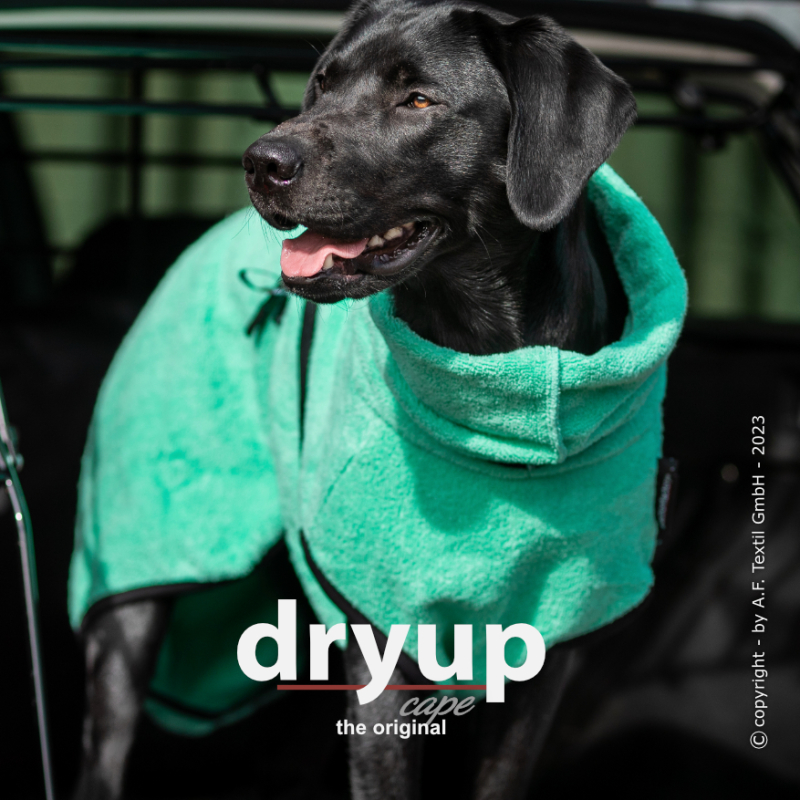 DRYUP CAPE EDITION MINT, 39,90 €