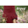DRYUP CAPE EDITION BORDEAUX M  60 cm