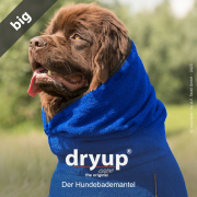 DRYUP CAPE BIG  EDITION BLUEBERRY