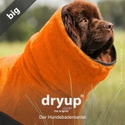 DRYUP CAPE BIG  EDITION CLEMENTINE