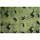 Vetbed Premium Quality 30mm  Jagd