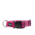 Mystique® Gummiertes Halsband 25mm 40 - 50 cm Purpur Standard