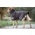Warmup Cape Classic Mocca Large = 68 cm