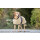 Warmup Cape Classic Mocca Large = 68 cm