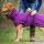 DRYUP CAPE EDITION BILBERRY S  56 cm