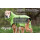 DRYUP CAPE EDITION KIWI L= 65 cm