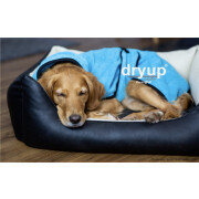 DRYUP CAPE EDITION CYAN S= 56 cm