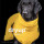 DRYUP CAPE EDITION YELLOW M= 60 cm