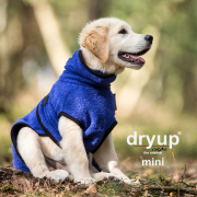 Dryup Cape Mini Blueberry 35 cm