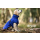 Dryup Cape Mini Blueberry 35 cm