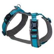 MAGNETECH Y-Comfort S Anthrazit/Petrol