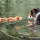 Hundespielzeug Aqua Mindelo 52cm