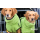 DRYUP CAPE EDITION KIWI M= 60 cm