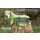 DRYUP CAPE EDITION KIWI M= 60 cm