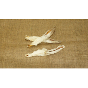 Kaninchenohren mit Fell