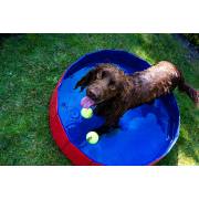 Doggy Pool Blau/Rot