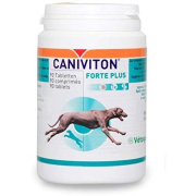 CANIVITON FORTE Plus 90 Tabletten