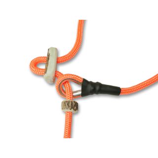 Neonorange