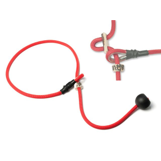 Rot