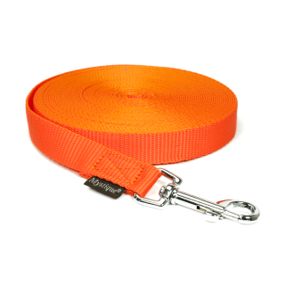 Neonorange