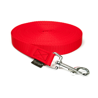 Rot