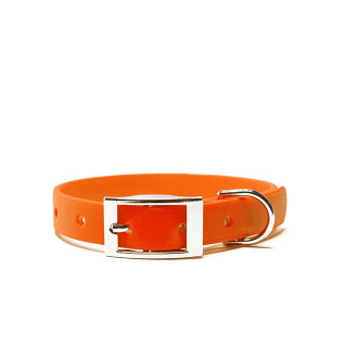 Neonorange