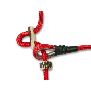 Rot