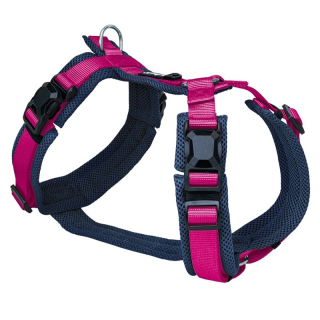Navy/Fuchsia