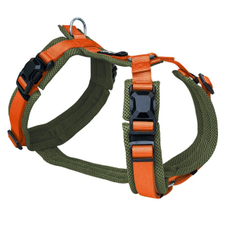 Olive/Orange
