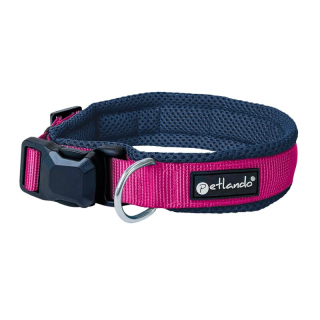 navy/fuchsia